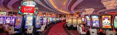 betcup Evolution Gaming Baccarat Hall
